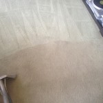 Carpet-Cleaning-Foster City