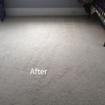 Cranberry Juice Stain Removal Foster City-B