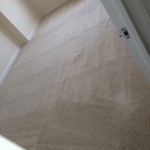 Foster City-Carpet-Clean-room