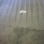 Foster City-Carpet-Cleaning-Carpet-Cleaning