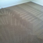 Foster City-Carpet-Cleaning-Wall-To-Wall