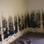 Mold-Removal-Foster City