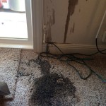 Oil-Stain-Removal-Before-Foster City