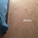 ink stain removal Foster City-A