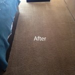 ink stain removal Foster City-B